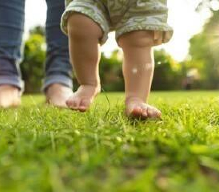 有限会社セイコー建設